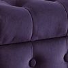 Velvet Upholstered Button Tufted Wooden Bench Settee With Hinged Storage, Purple and Brown