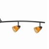 5 Light Glass Shade 120V Metal Track Light Fixture, Black and Yellow