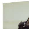 Rectangular Glass Wall Art with Animal Print and Sawtooth Hanger, Brown