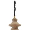 Glass Dome Pendant Light with Wood Finial Crown Top, Brown and Clear