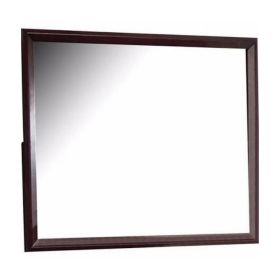 45 Inch Rectangular Wood Frame Mirror, Dark Brown