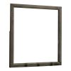 35 Inch Transitional Style Wooden Frame Mirror, Gray