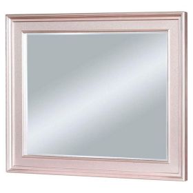 64 Inch Contemporary Style Wooden Frame Mirror, Rose Pink