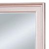 64 Inch Contemporary Style Wooden Frame Mirror, Rose Pink