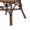 19 Inch Classic Wood Armless Chair, Rattan, Curved Back, Dual Toned, Brown
