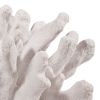 Lily 9 Inch Faux Coral Accent Figurine, Polyresin Tabletop Sculpture, White