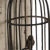 Ari Set of 2 Classic Bookends, Birdcage, Iron and Fir Wood, Black, Brown