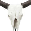 26 Inch Resin Cow Skull Accent Table Decoration, Metal Block Base, White