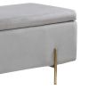 Jaxon 45 Inch Storage Bench with Wood Frame, Gold Metal Legs, Gray Velvet