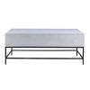 45 Inch Rectangular Mango Wood Coffee Table, Lift Top Storage, Iron Frame, White, Black