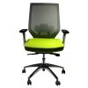 Adjustable Mesh Back Ergonomic Office Swivel Chair with Padded Seat and Casters, Green and Gray