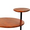 Geo Collection 21 Inch Round Acacia Wood Accent End Table with 2 Tier Tabletops, Brown, Black
