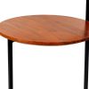 Geo Collection 21 Inch Round Acacia Wood Accent End Table with 2 Tier Tabletops, Brown, Black