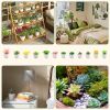 12pcs Artificial Succulents Plants Indoor Decor in Pots Fake Succulent Plant Faux Small Lifelike Premium Display for Garden Porch Table Rustic Wedding