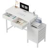 Computer Desk with 5 Drawers and Printer Stand, Storage Writing Desk for Home Office, Workstation